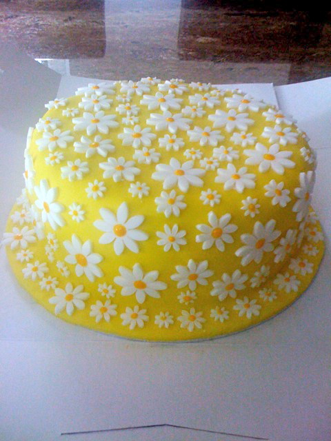 IMG_0087 daisy cake  Cakes by Jo